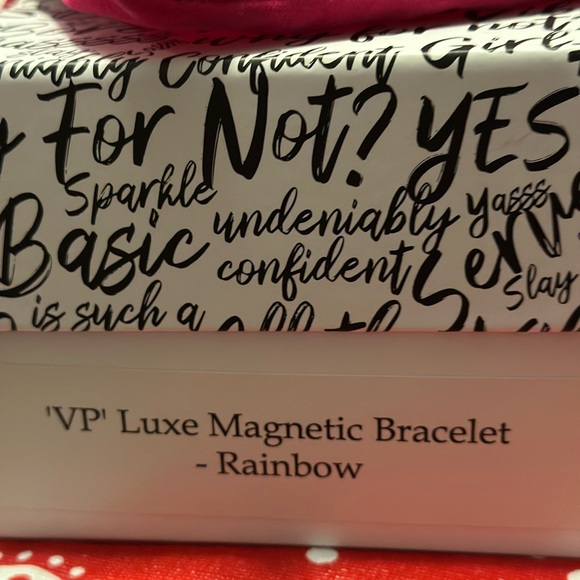 Sassy Jones “VP” Luxe Rainbow Chain Bracelet, Earring & Pin Set - Picture 4 of 7